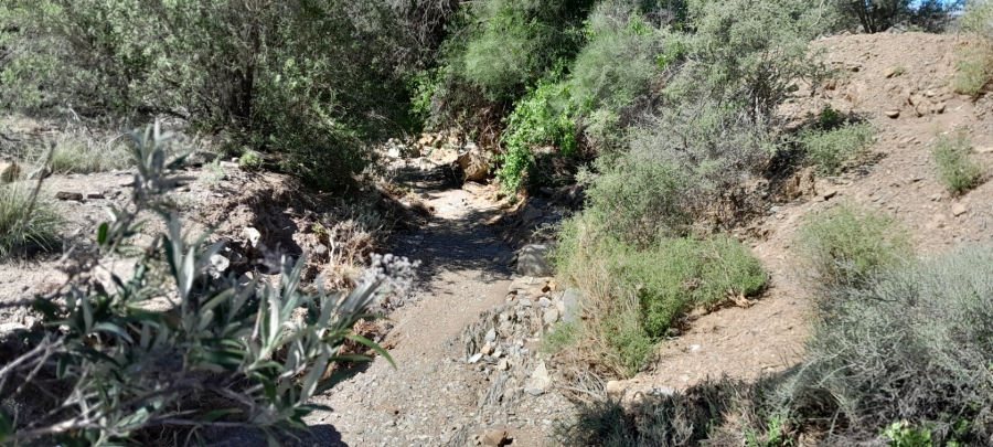 Commercial Property for Sale in Montagu Rural Western Cape